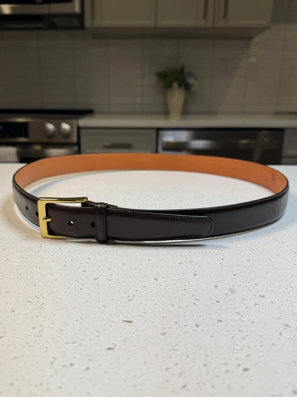 Trafalgar Dark Brown Cortina Leather Belt Square Solid Brass Buckle 38